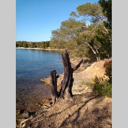 Face Mer Entre Plage Et Marina Bormes-les-Mimosas Dış mekan fotoğraf