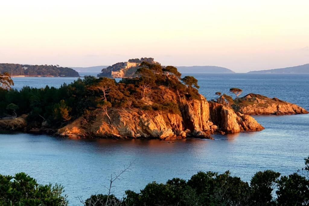 Face Mer Entre Plage Et Marina Bormes-les-Mimosas Dış mekan fotoğraf