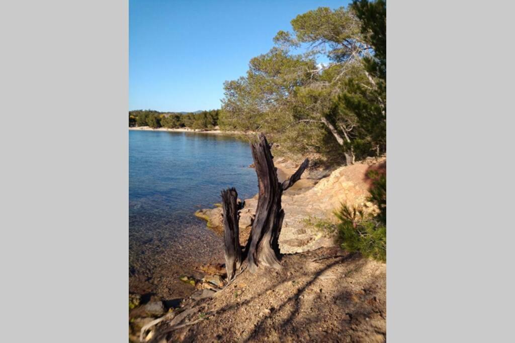 Face Mer Entre Plage Et Marina Bormes-les-Mimosas Dış mekan fotoğraf