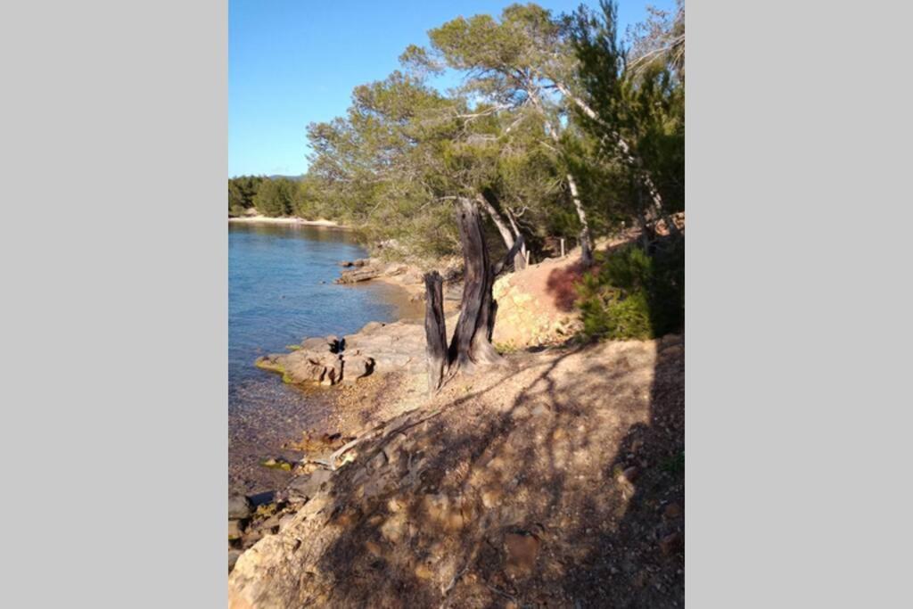 Face Mer Entre Plage Et Marina Bormes-les-Mimosas Dış mekan fotoğraf